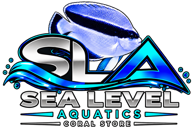 Sea Level Aquatics Coral Store